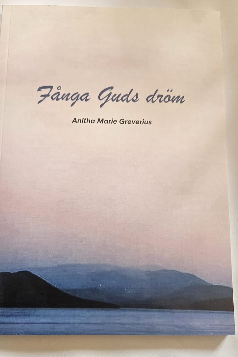 Omslag: Fånga Guds dröm